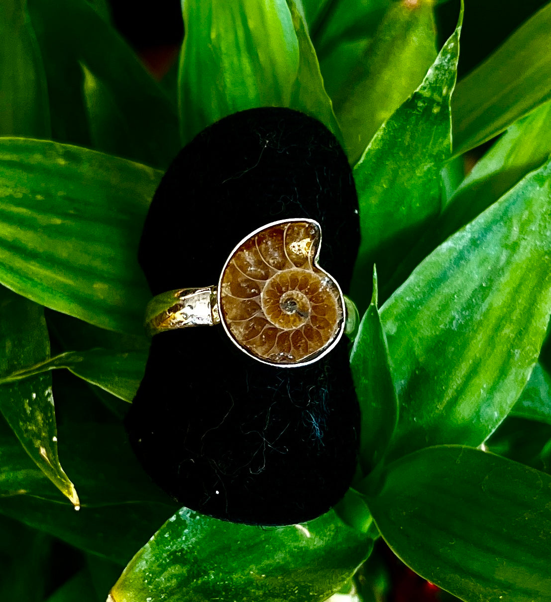 😊„Zeitlose Eleganz: Entdecken Sie unseren Ring aus 925er Sterlingsilber mit Fossilien“😊