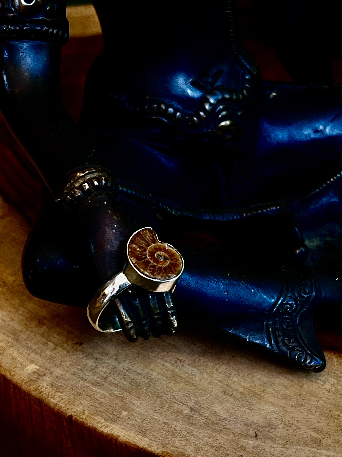 😊„Zeitlose Eleganz: Entdecken Sie unseren Ring aus 925er Sterlingsilber mit Fossilien“😊